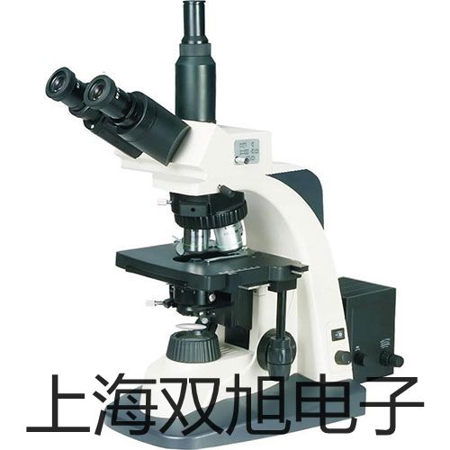 ���p���ơ�IMPULSE200����LTI����y��/�y�߃x��IMPULSE200�N��