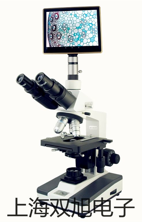 ���p���ơ�����ɫ�V�x������x�әz�y(c��)��GC1120-FID�r(ji��)�� 