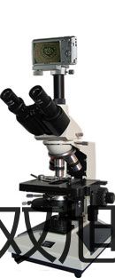 ���p���ơ���ʽ�������������YXQ-LS-100G������